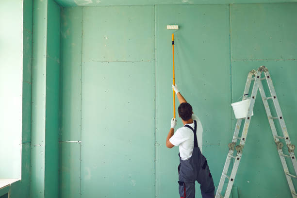Best Post-Construction Mold Inspection  in Woodville, WI