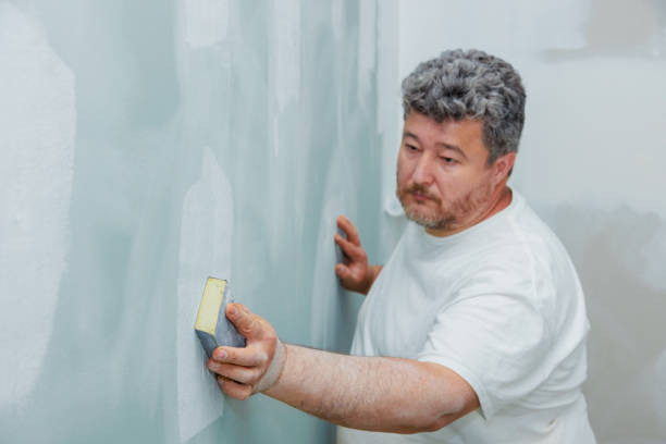 Best Industrial Mold Remediation  in Woodville, WI