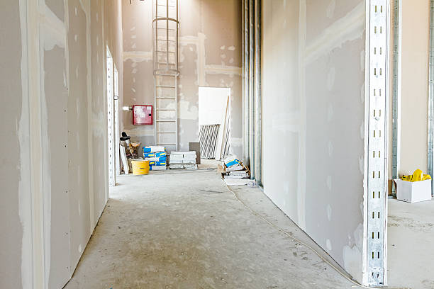 Best Mold-Related Health Consultation  in Woodville, WI